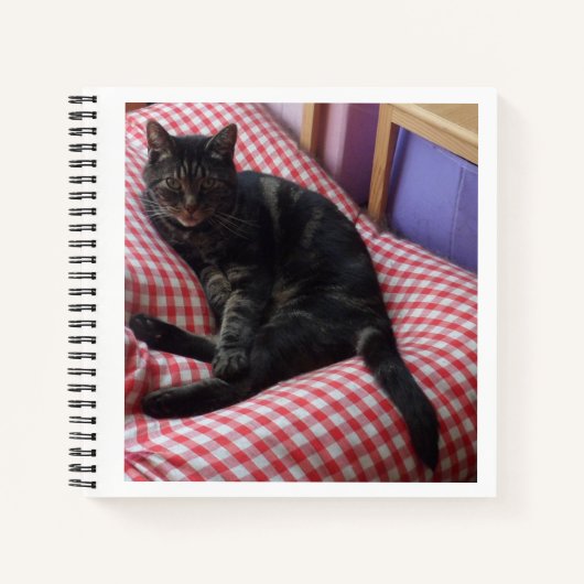Carnet mignon Dave Spiral (Devant)