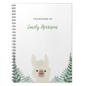 Carnet mignon de lama (Devant)