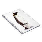 Carnet mignon empereur Penguin et poussin (Côté Droit)