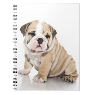 Carnet Mignonne Chien-taupe Chien Triste