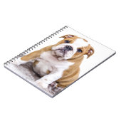 Carnet Mignonne chiot Bulldog assis (Côté gauche)
