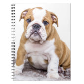 Carnet Mignonne chiot Bulldog assis (Devant)