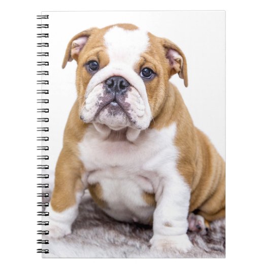 Carnet Mignonne chiot Bulldog assis (Devant)