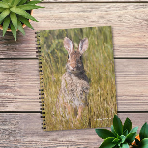 Carnet Mignonne et Curieux lapin de coton oriental