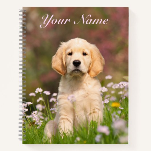Carnet Mignonne Golden Retriever Chien Chiot Animal Visag (Devant)