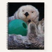 Carnet Mignons loutres de mer joueurs (Devant)