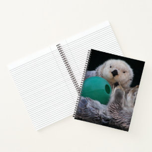 Carnet Mignons loutres de mer joueurs
