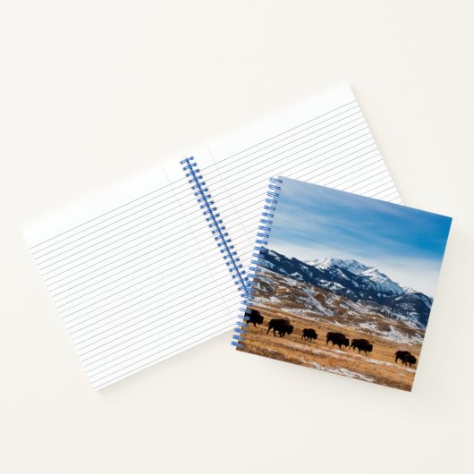 Carnet Migration des bisons (Intérieur)