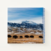 Carnet Migration des bisons (Dos)