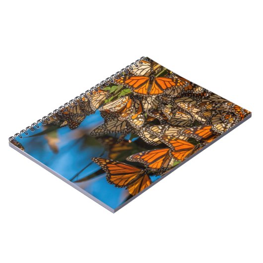 Carnet Migration des papillons monarques accrochés aux fe (Côté gauche)