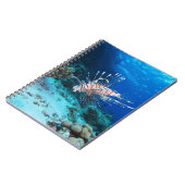 Carnet Miles de poissons-lions ou de ptérois, poissons de (Côté gauche)