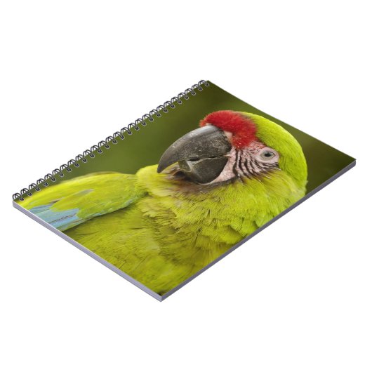 Carnet Militaire Macaw (Côté gauche)