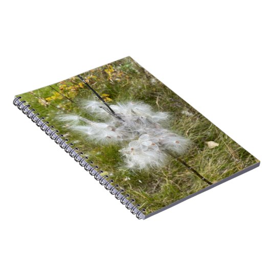 Carnet Milkweed | Papillon | Spirale (Côté Droit)