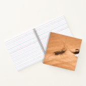 Carnet Mille-pattes domestique (Intérieur)