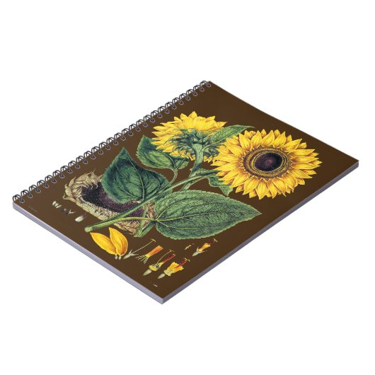 Carnet Miller : Tournesol (Côté gauche)