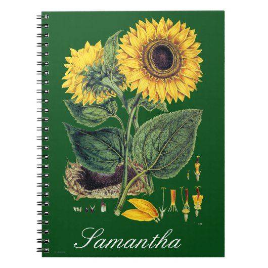 Carnet Miller : Tournesol (Devant)
