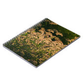 Carnet Millet sauvage (Panicum Sp.) Cultivation En Mer (Côté gauche)