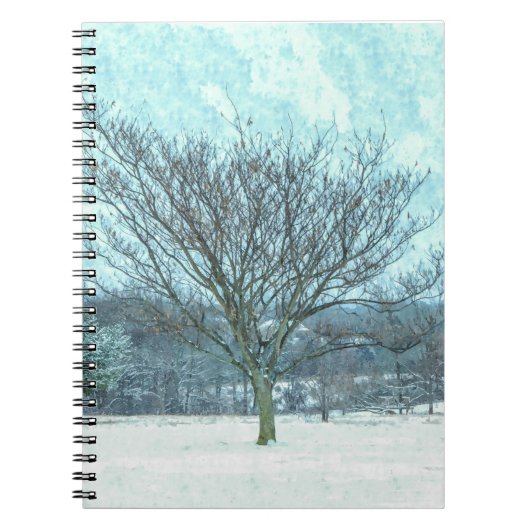 Carnet Mimosa d'hiver (Devant)