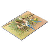 Carnet Min bleu eurasien et métit à queue longue, Oiseaux (Côté gauche)