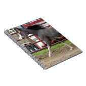 Carnet Mini cheval en classe liberté (Côté Droit)