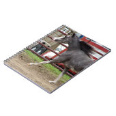 Carnet Mini cheval en classe liberté (Côté gauche)