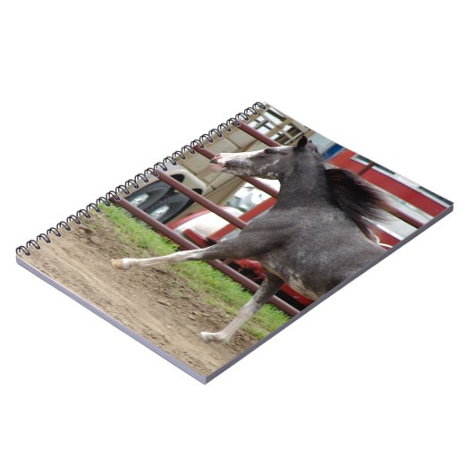 Carnet Mini cheval en classe liberté (Côté gauche)