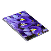 Carnet Miniature Bleu Irises Printemps Floral (Côté Droit)