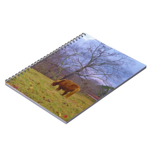 Carnet Miniature brun cheval bleu ciel (Côté gauche)