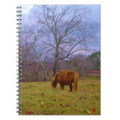 Carnet Miniature brun cheval bleu ciel (Devant)