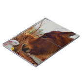 Carnet Miniature cheval Brown et lapin de Pâques (Côté gauche)