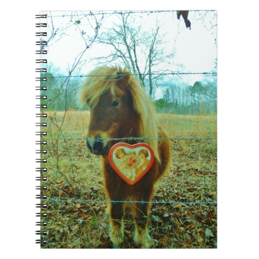 Carnet Miniature cheval Brown Valentine Heart (Devant)