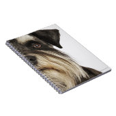Carnet Miniature Schnauzer, studio photo, gros plan (Côté Droit)