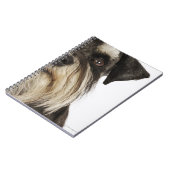 Carnet Miniature Schnauzer, studio photo, gros plan (Côté gauche)