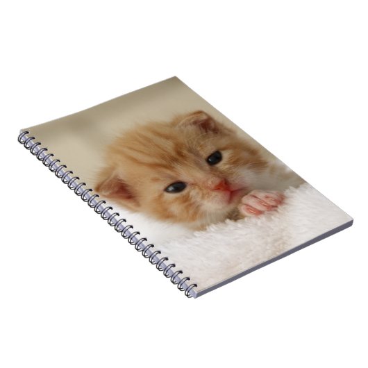 Carnet Minou doux de chiot (Côté Droit)