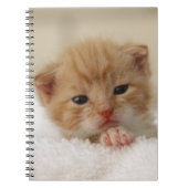 Carnet Minou doux de chiot (Devant)