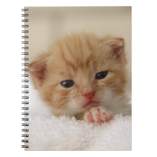 Carnet Minou doux de chiot (Devant)