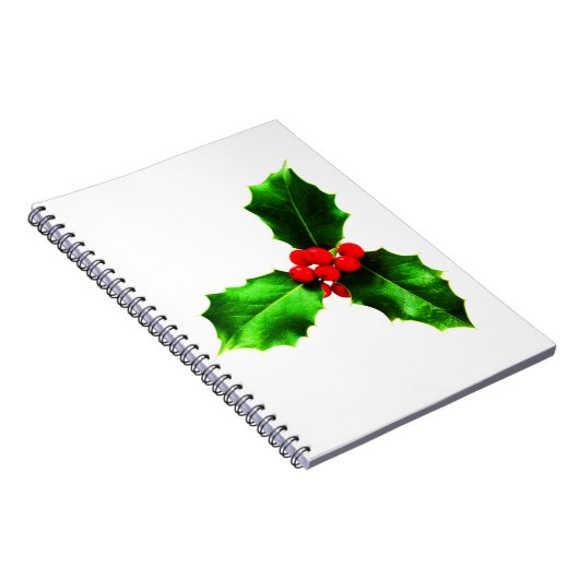 Carnet Mistletoe (Côté Droit)