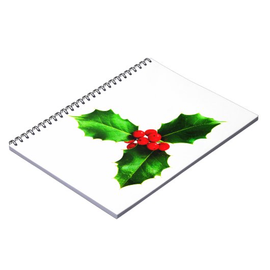 Carnet Mistletoe (Côté gauche)