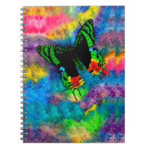 Mite de coucher du soleil 6,5 x 8,75