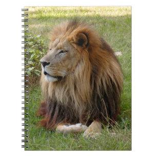 Carnet Modèle-Carnet (8x10)