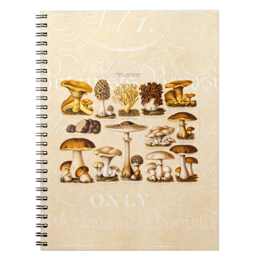 Carnet Modèle vintage de champignons de variété de (Devant)