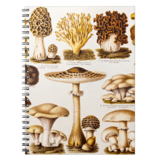 Carnet Modèle vintage de variété de champignon de 1800s