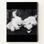 carnet moelleux (Dos)
