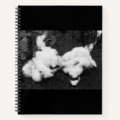 carnet moelleux (Devant)