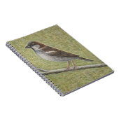 Carnet Moineau 2008 de Chambre (Côté Droit)
