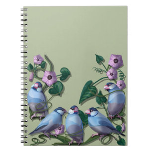 Carnet Moineaux de Java