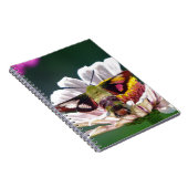 Carnet Mois des colibris (Côté Droit)