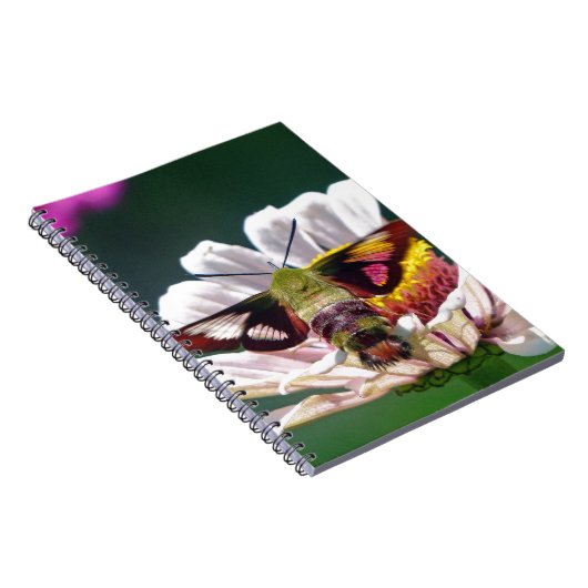 Carnet Mois des colibris (Côté Droit)