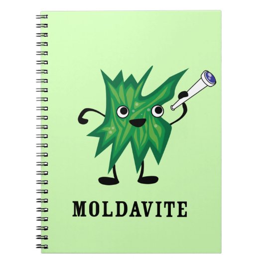 Carnet Moldavite (Devant)