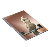 Carnet moluquois de cacatoès (Côté Droit)